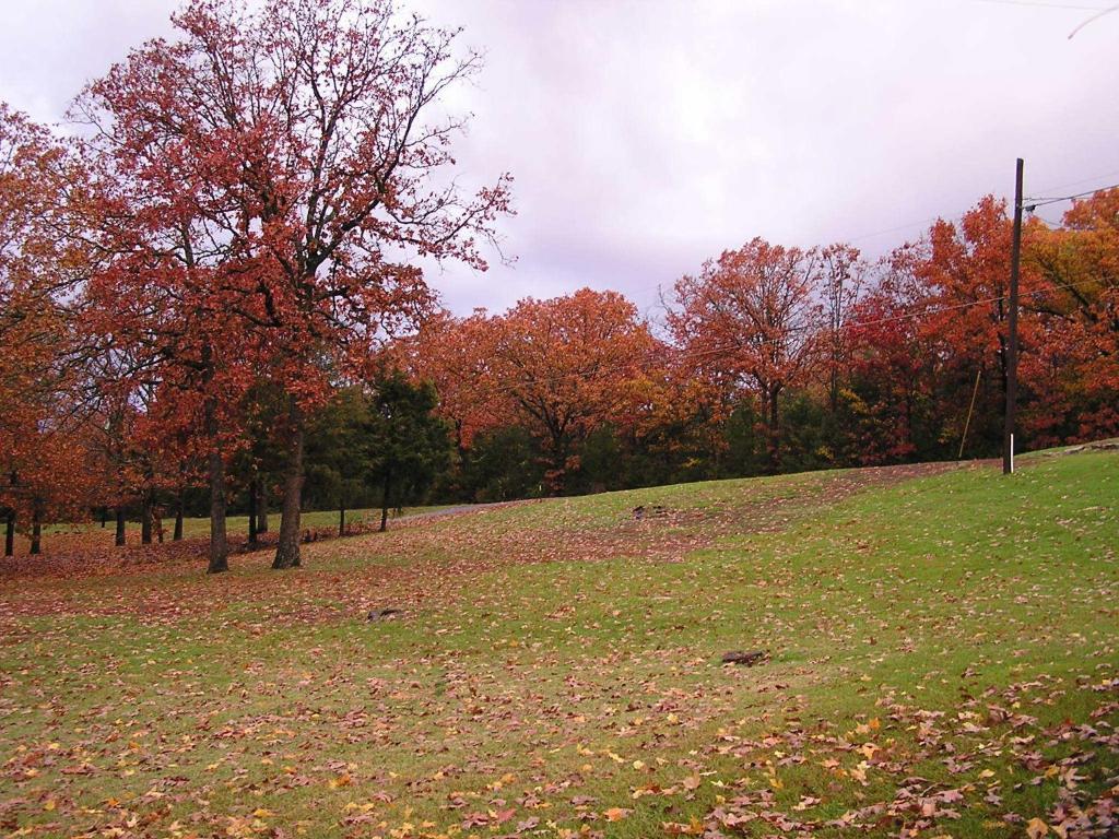 Lampe Mill Creek Resort On Table Rock Lake מראה חיצוני תמונה